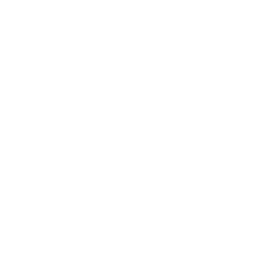 40+ Years of Experience